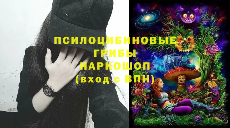 Галлюциногенные грибы Magic Shrooms  mega как войти  Армавир 